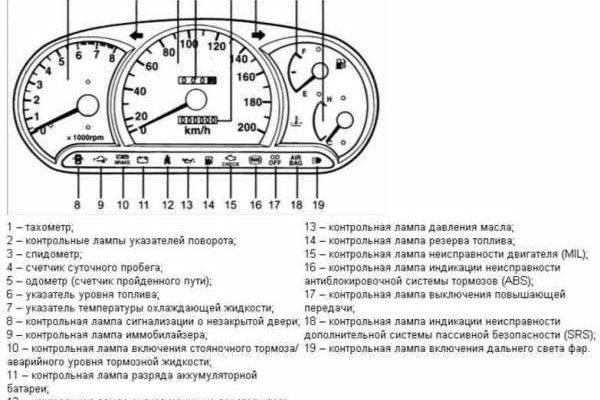 Тор блекспрут