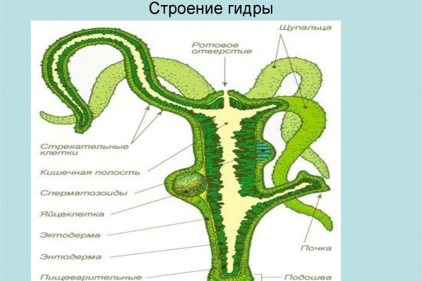 Блэкспрут ссылка blacksprut page bs2web top